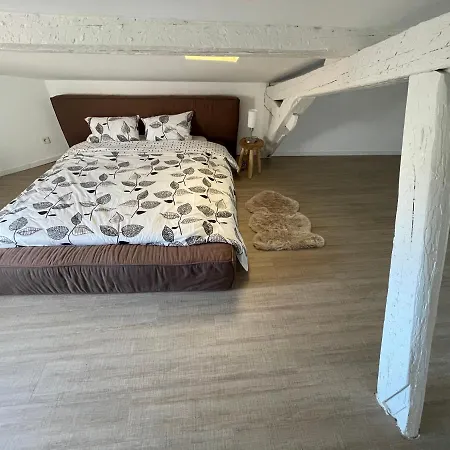 Duplex Quartier Saint-sernin, Апартаменты
