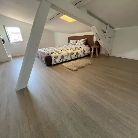 Duplex Quartier Saint-sernin, Appartamento *